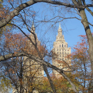 Meet your Posher, Mirjam